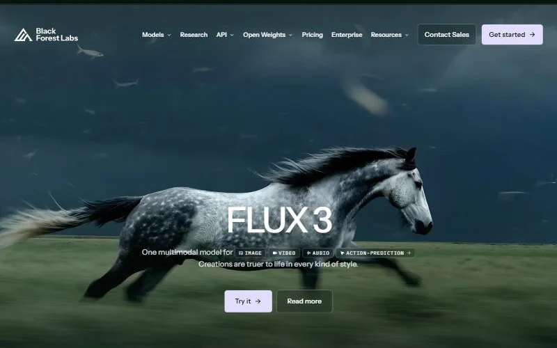 FLUX - zrzut strony
